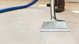 Carpet cleaning wand head gliding over a light carpet during hot-water extraction, Birmingham, AL.
