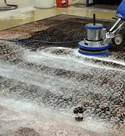 Professional rug cleaning with a rotary floor machine and shampoo foam, deep-cleaning an area rug Birmingham, AL.